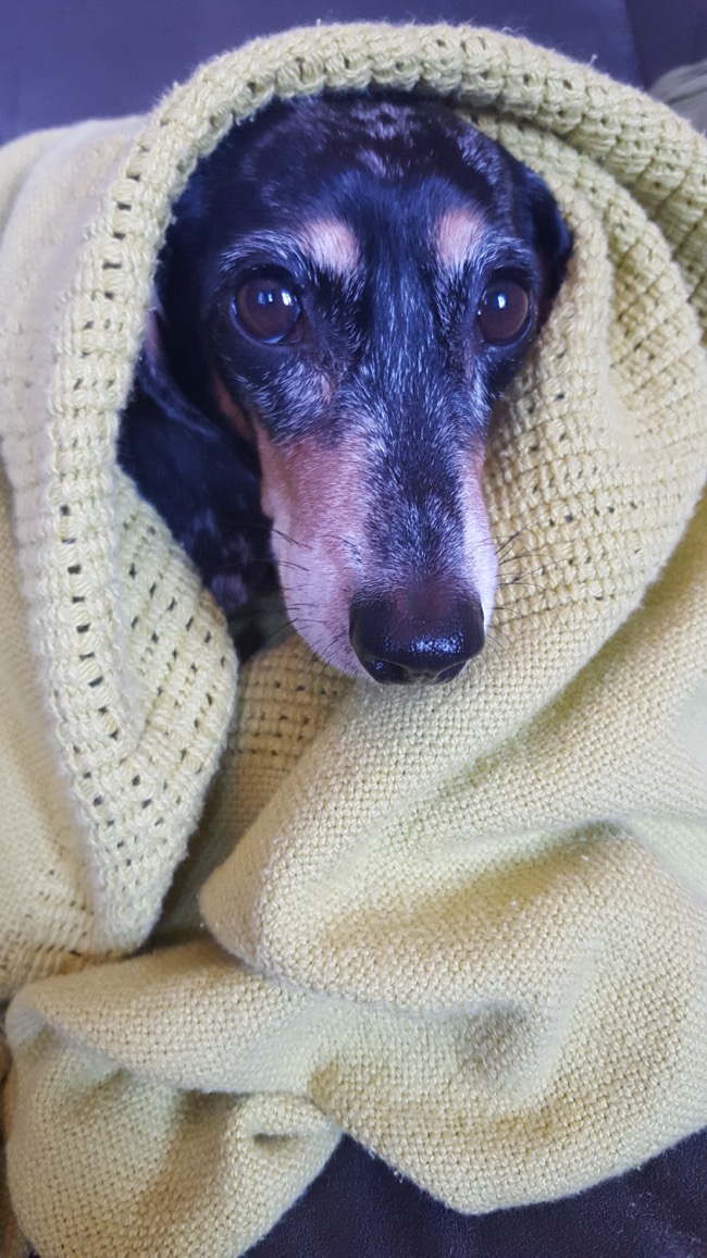 edie