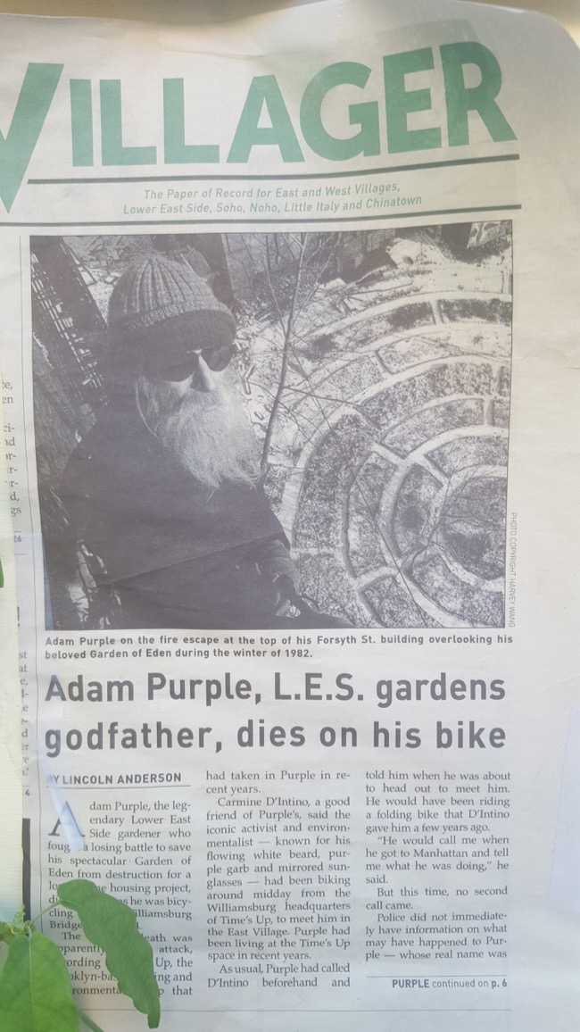 adam purple