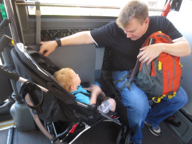 bus