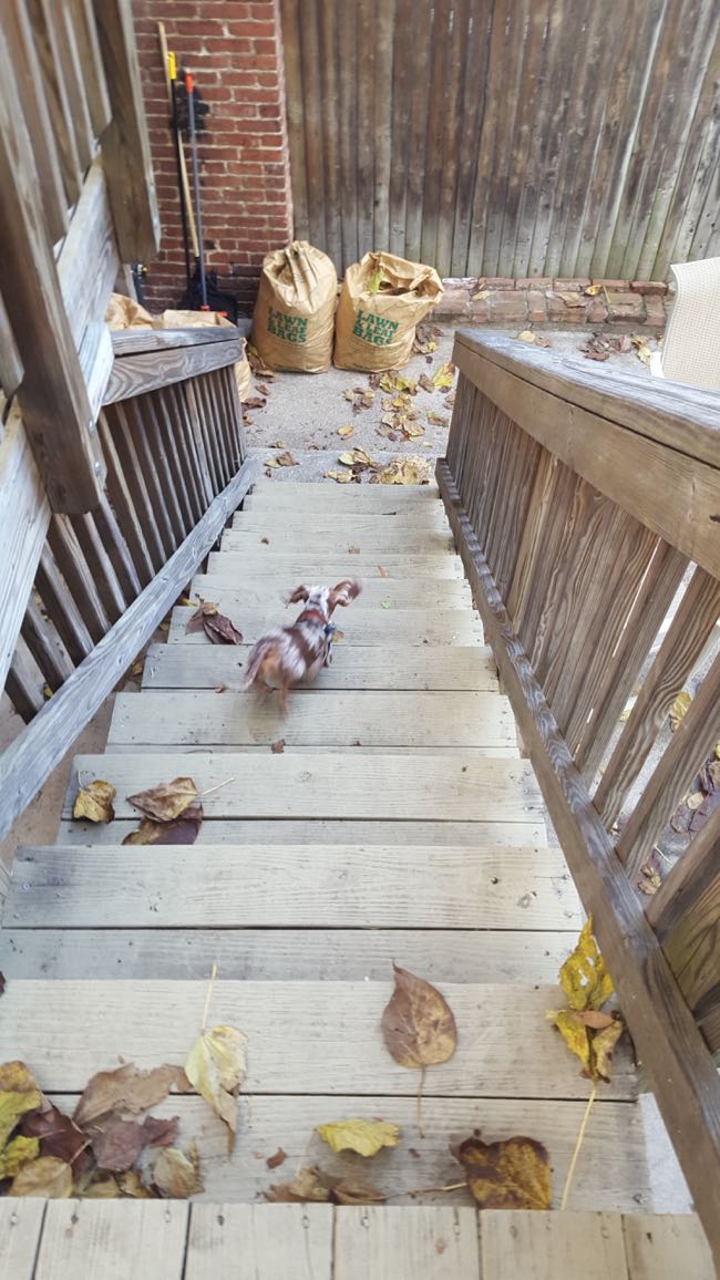 stairs