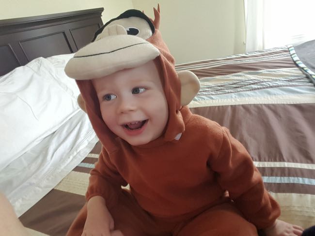 monkey
