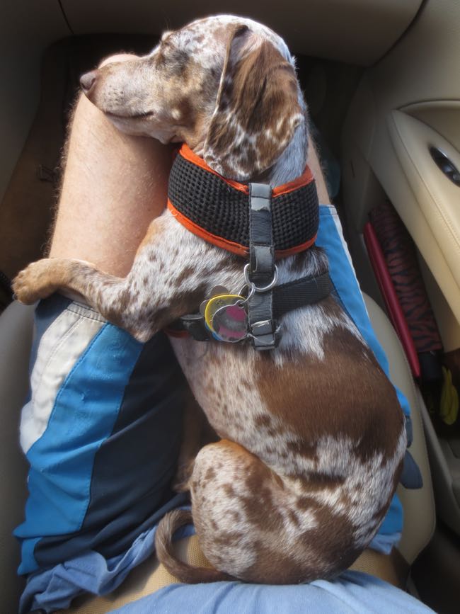 asleep