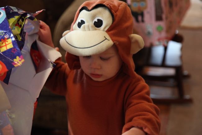 monkey