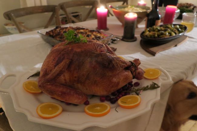 turkey