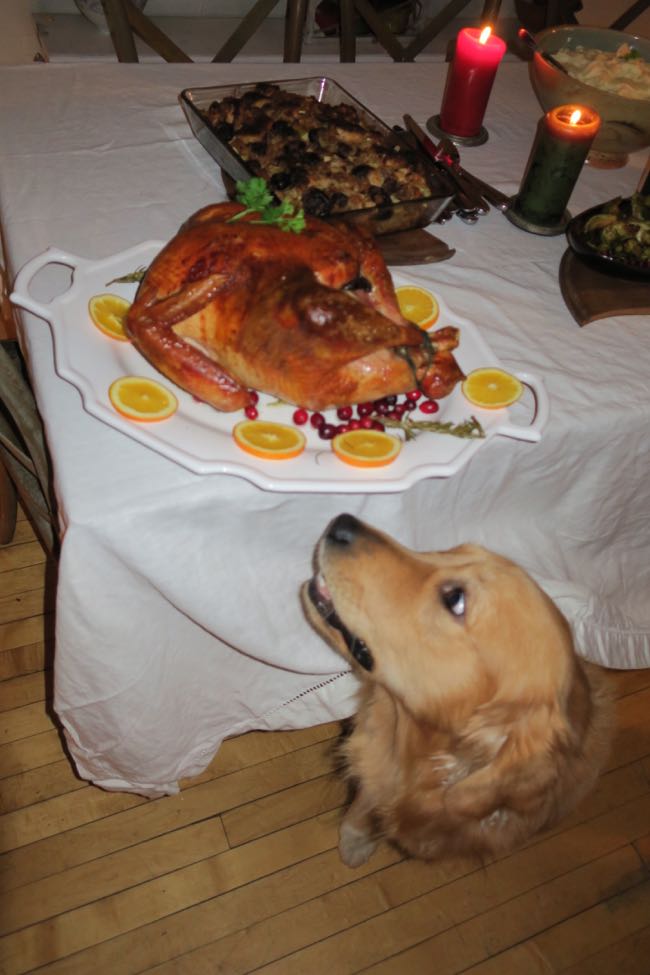turkey