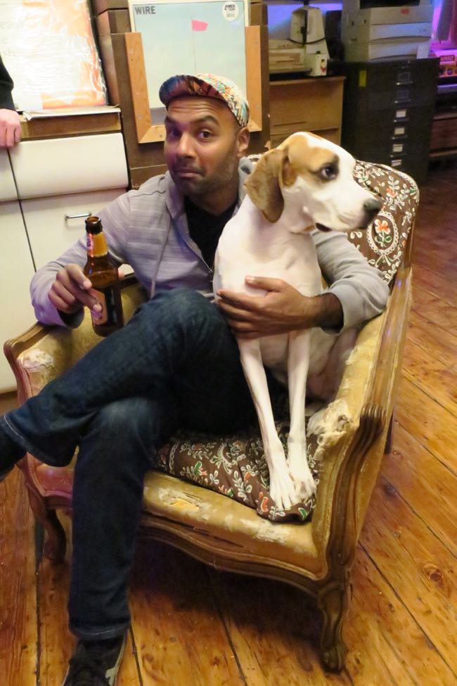 dogs