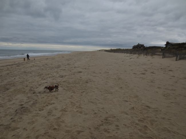 beach