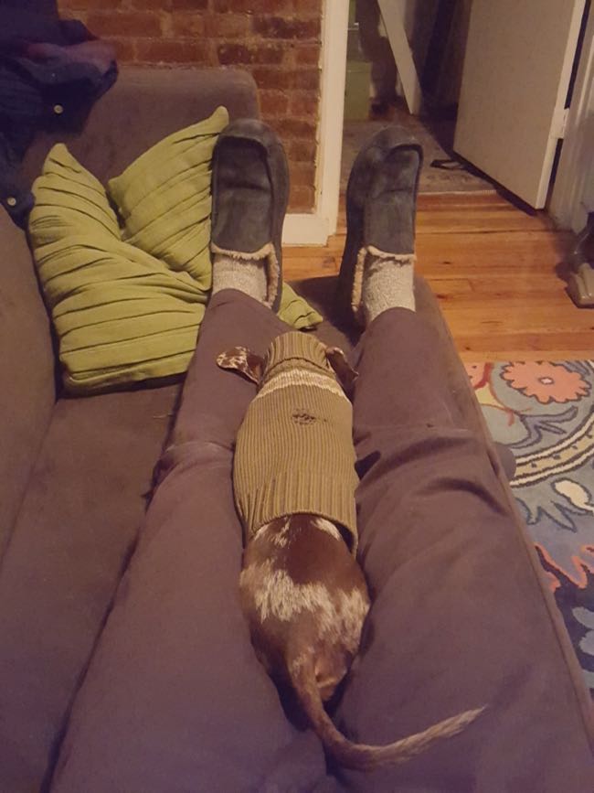 couch