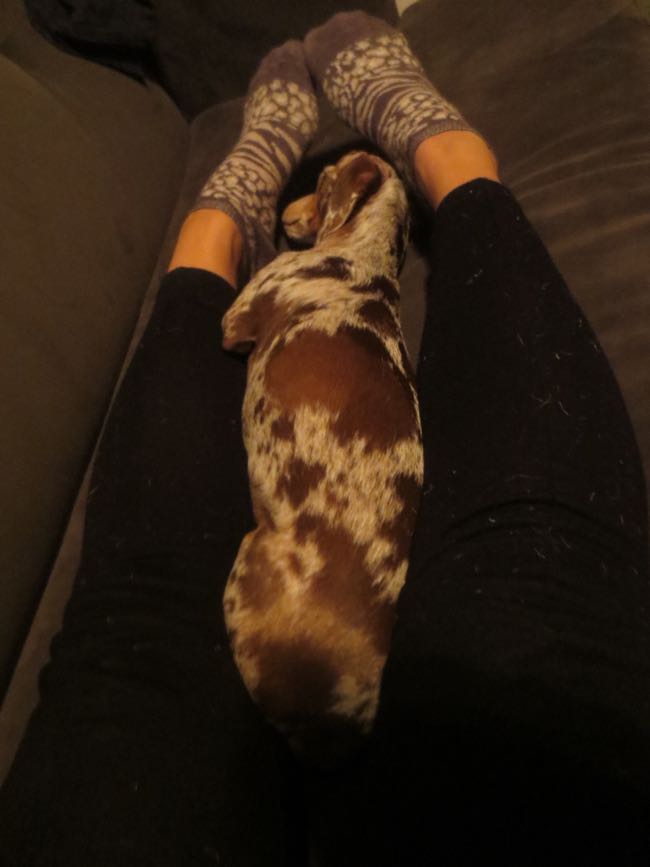 asleep