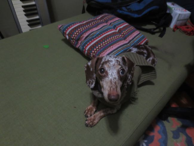 pillow