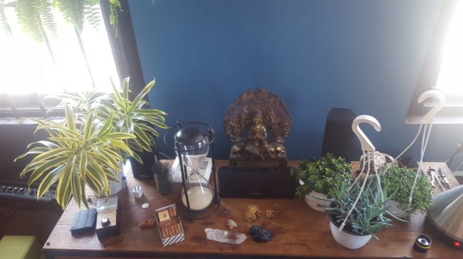 plants