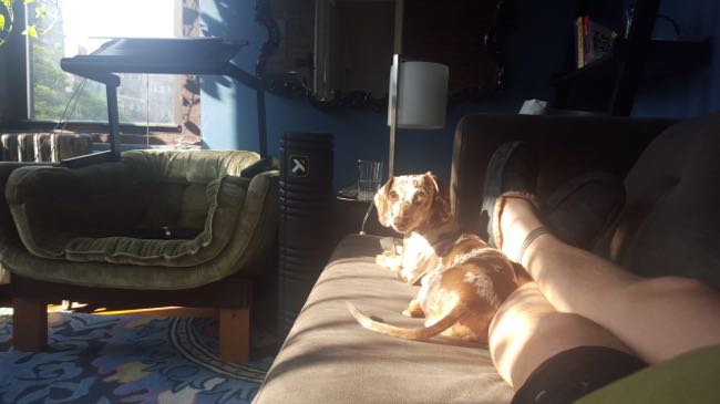 couch