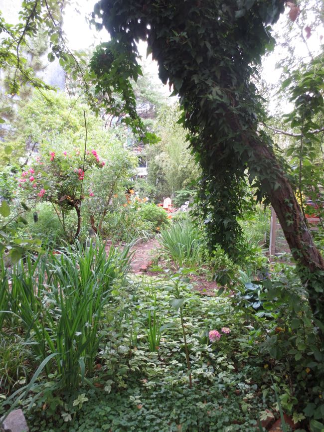 la plaza cultural