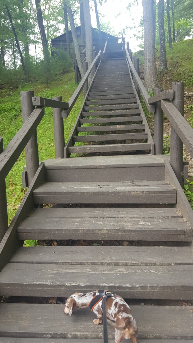 stairs