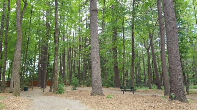 dog park