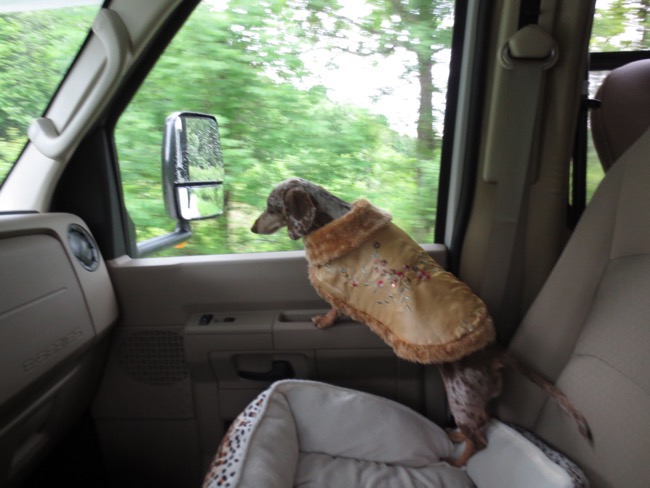 driving