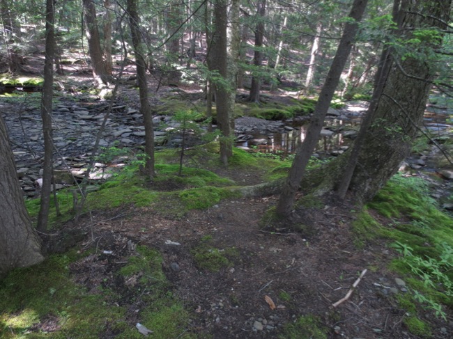 stream