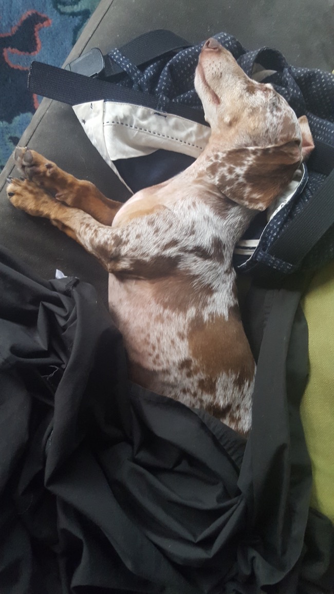 asleep