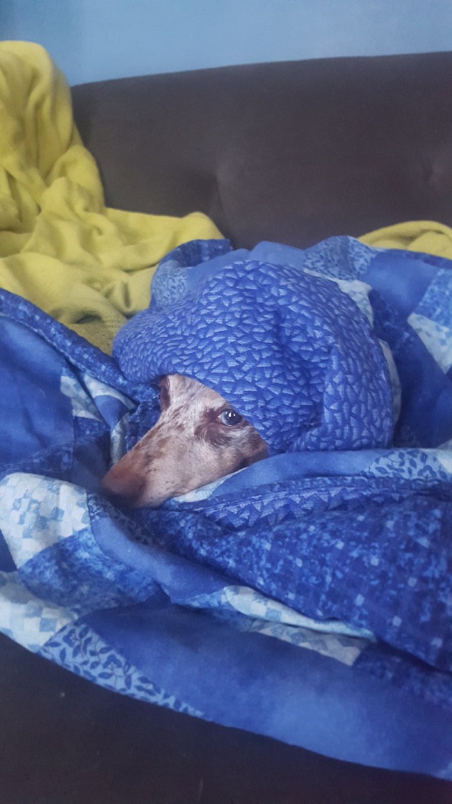 sleepy