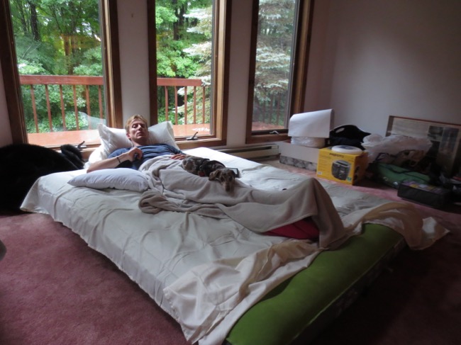 bed