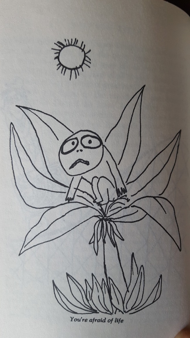 drawing