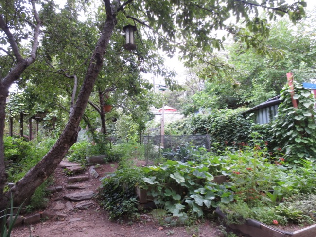 garden