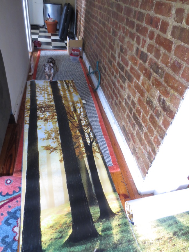 mural