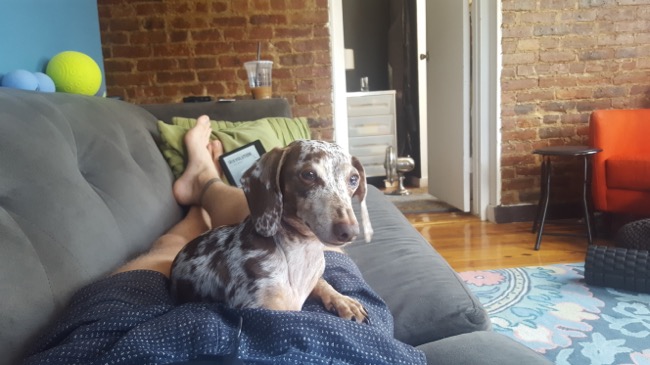 couch