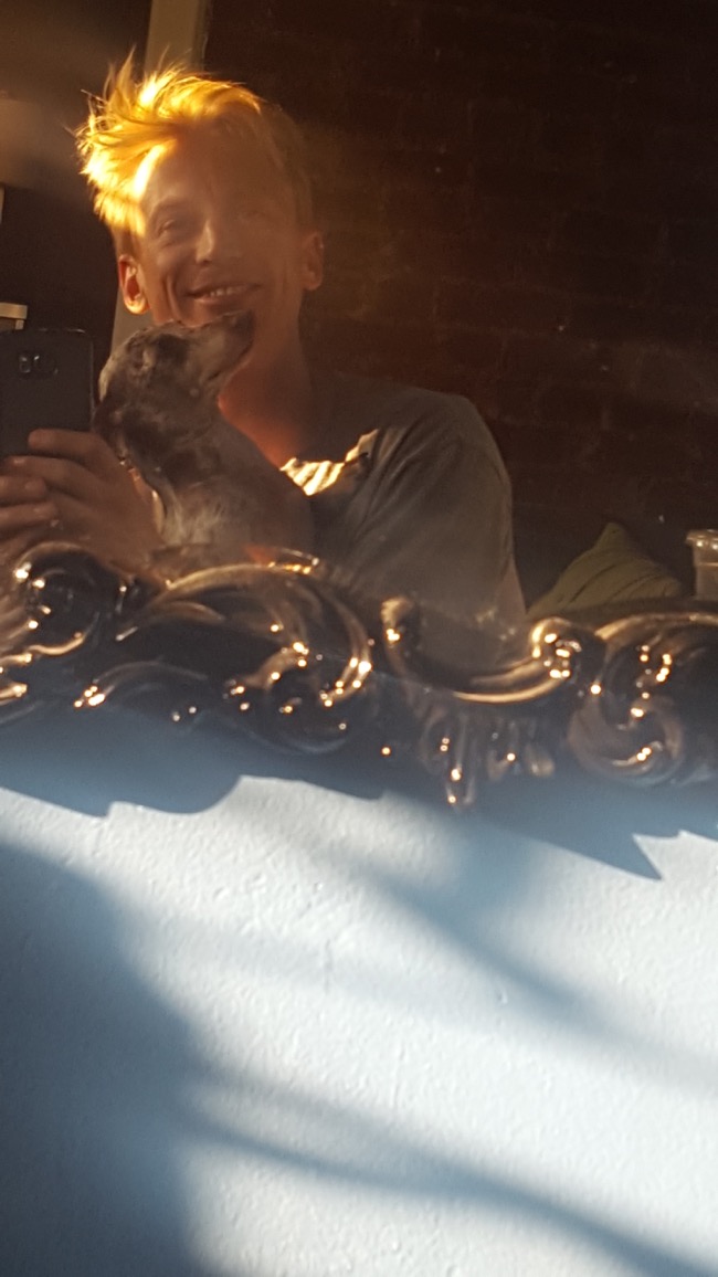 mirror