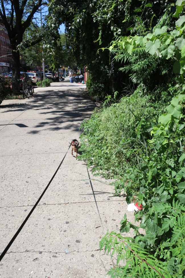 walking