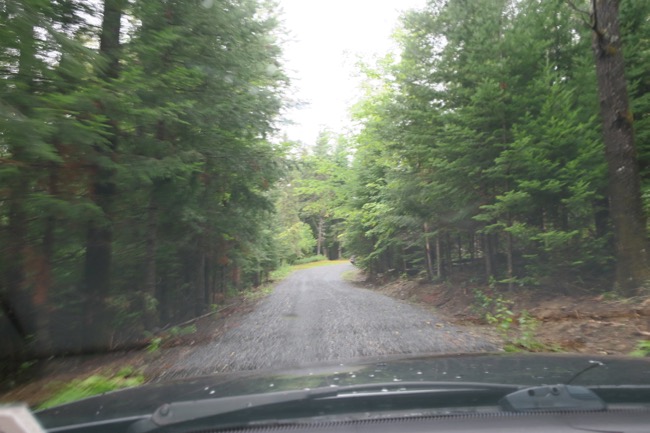 driving