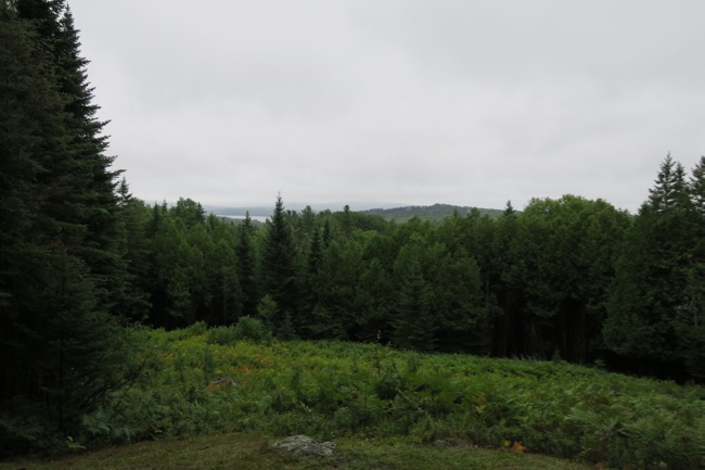 scenic overlook