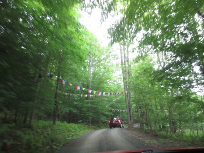 driving