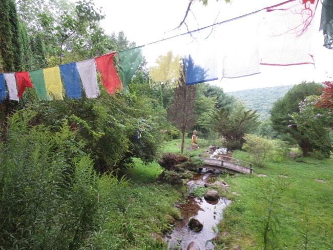 flags