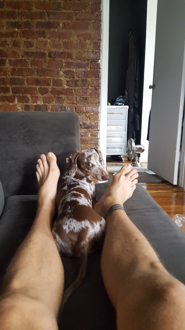 couch