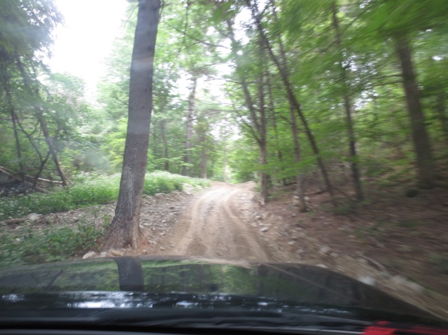 driving
