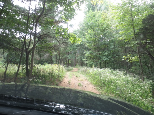 driving