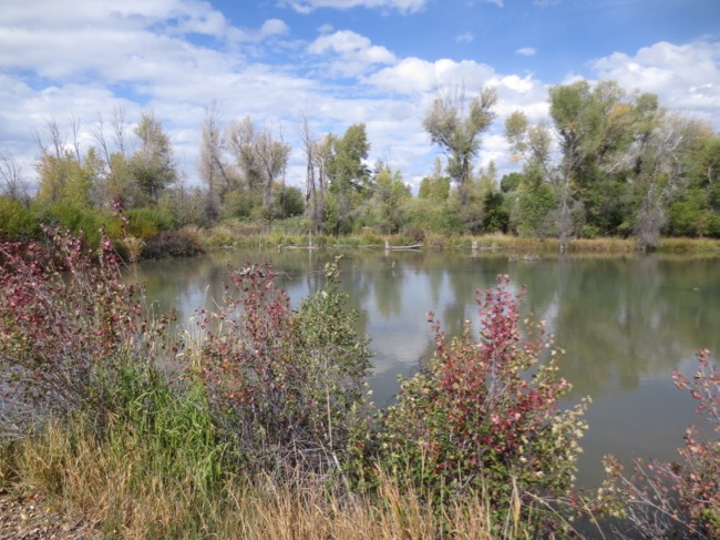 river