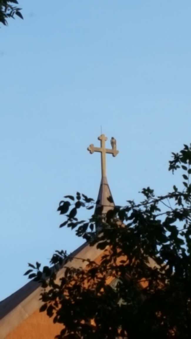church