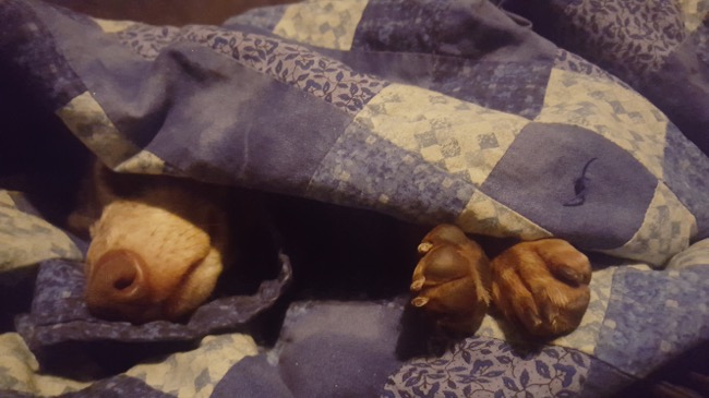 asleep