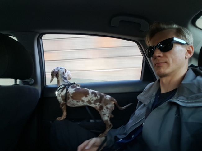 driving