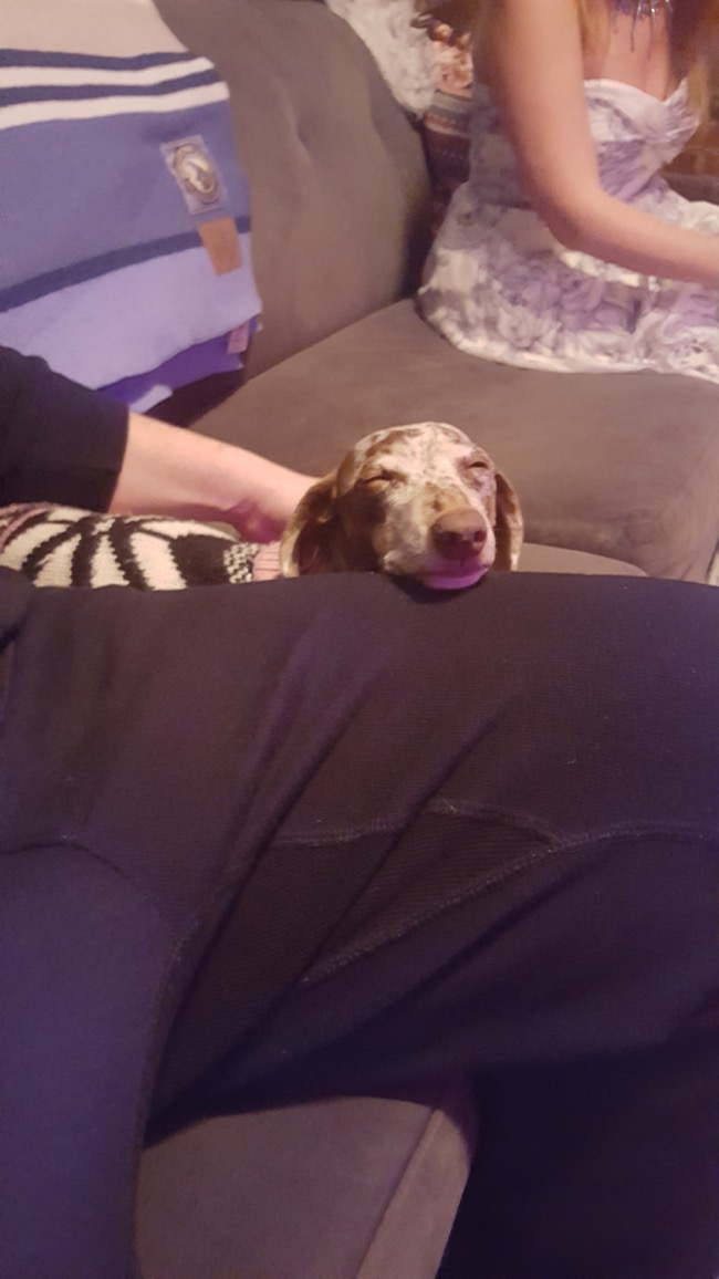 sleepy
