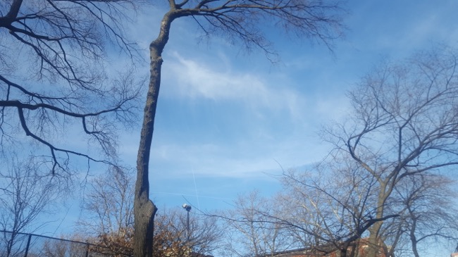 clouds