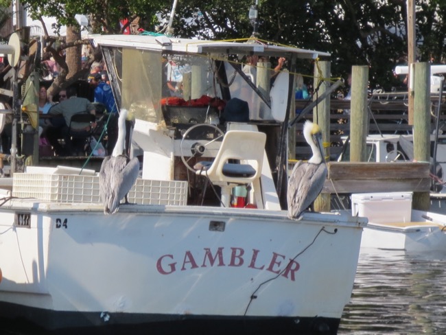 boat