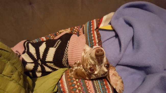 couch