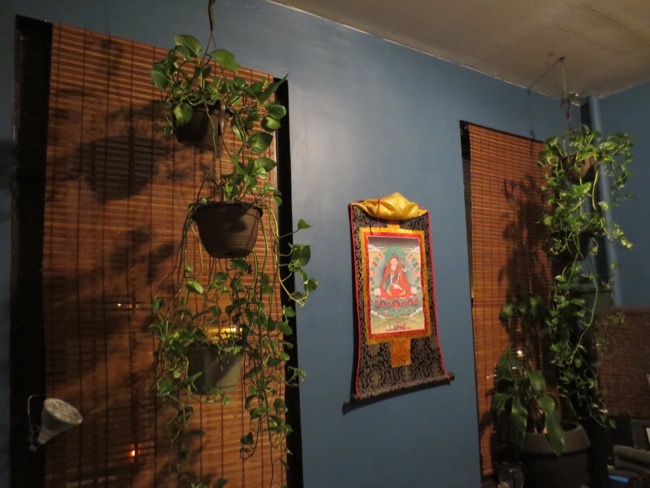 plants