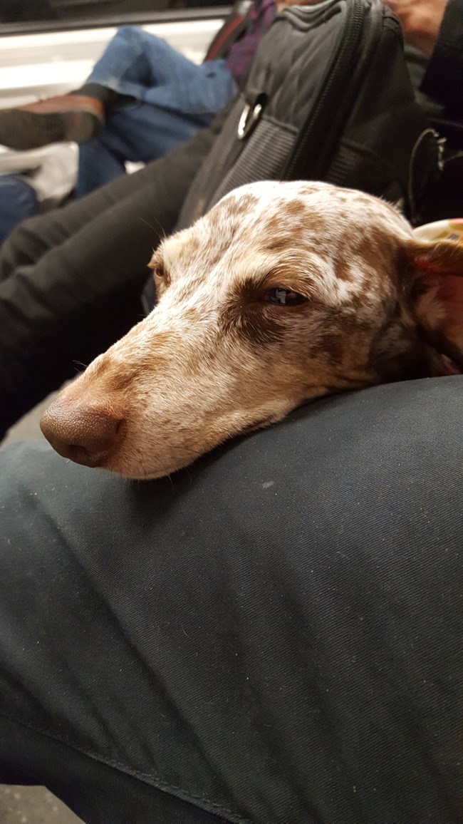 sleepy
