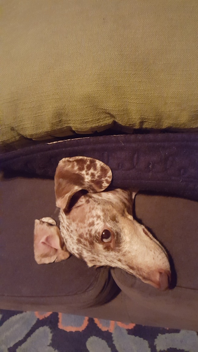 sleepy