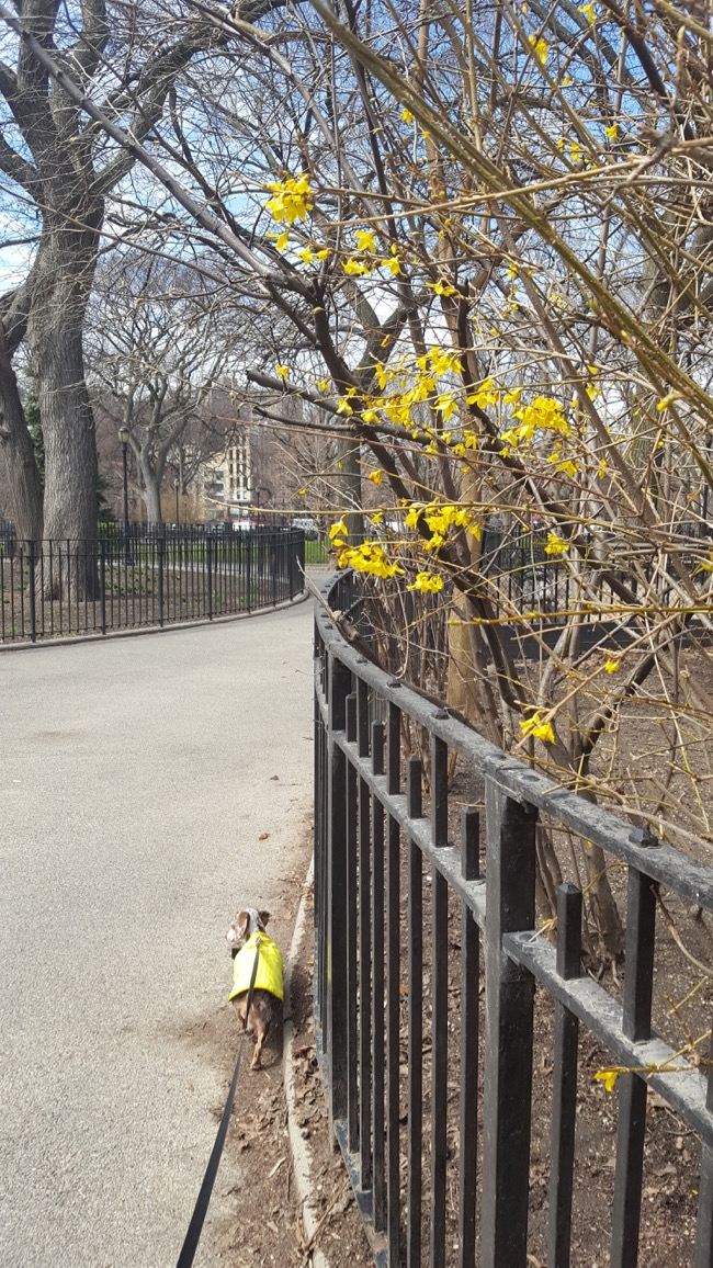 walking