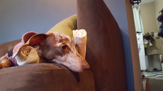 couch